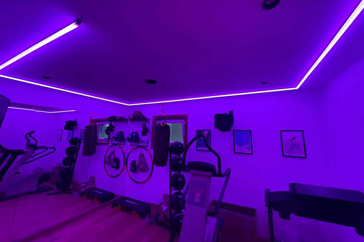 Modernes Fitnessstudio mit lila LED-Beleuchtung, Geräten und motivierenden Bildern.
