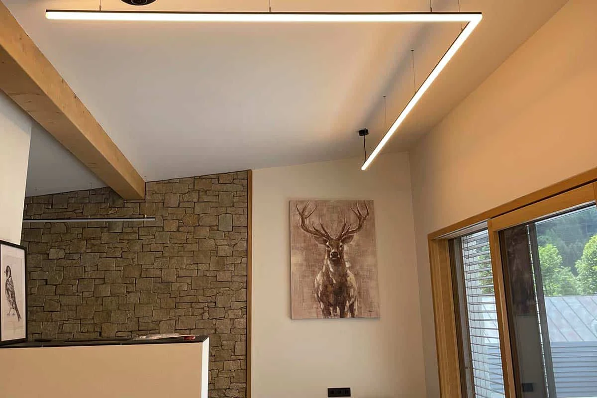 Moderne LED-Beleuchtung in einem Wohnraum mit Steinwand und Tierbild.